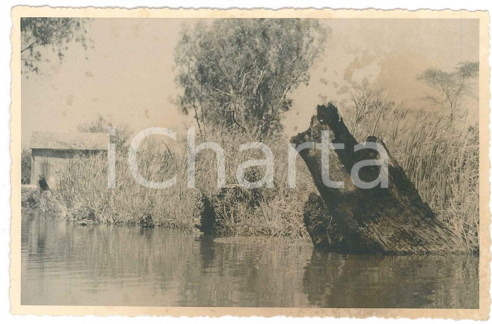 1930 ca C. ZAGOURSKI (?) AFRIQUE - CONGO BELGE - Paysage congolaise (1) Postcard  Fotocartolina postale d'epoca, attibuita al fotografo Casimir Zagourski.CONDIZIONI: GFORMATO: 9x14 cm    originale e autentica 1