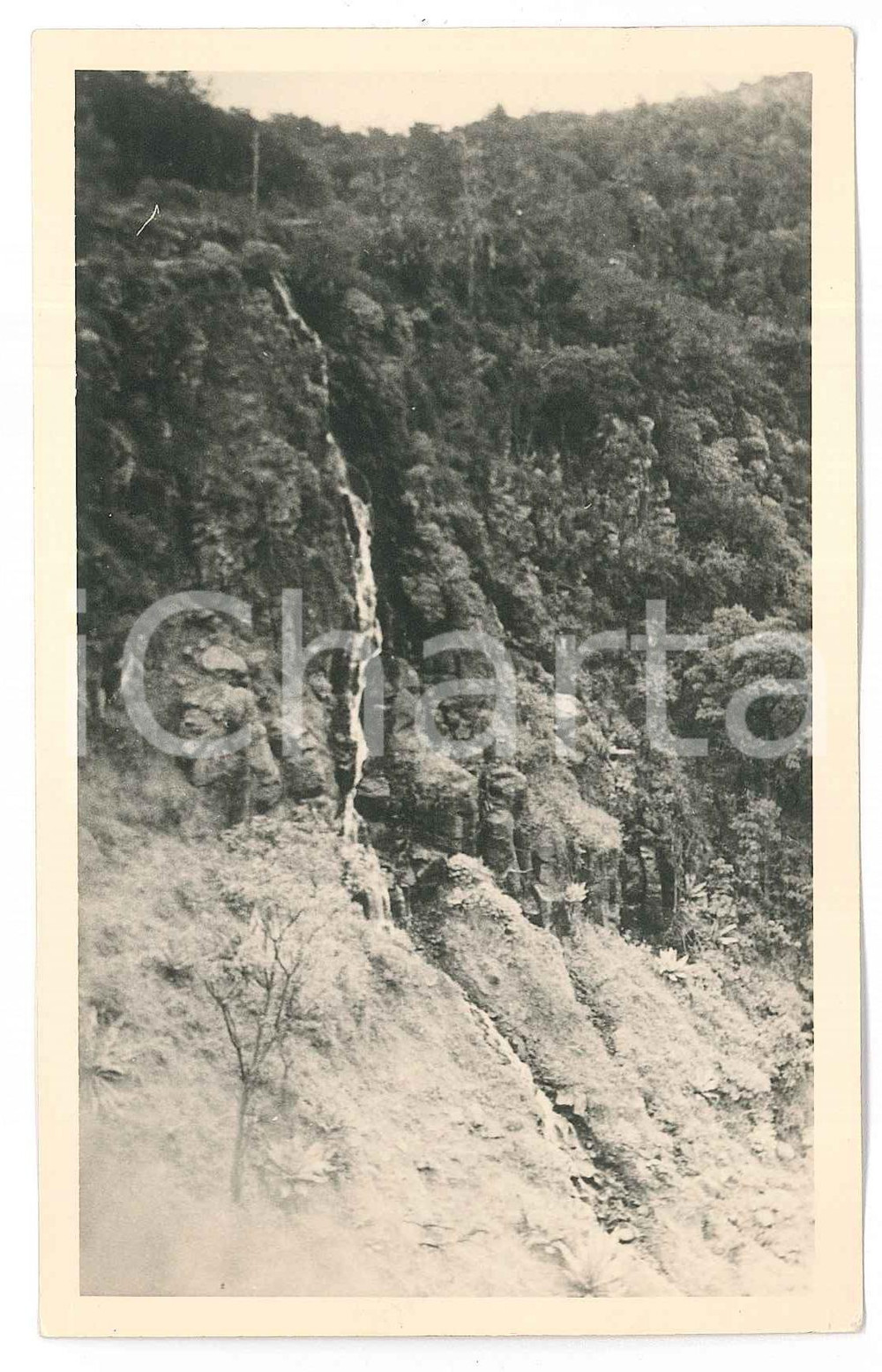 1930 C. ZAGOURSKI «L'Afrique qui disparaît» KENYA Chutes Thomson *Postcard n.172  Fotocartolina postale d'epoca, appartenente alla seconda serie &laquo;L'Afrique qui dispara&icirc;t&raquo; del fotografo Casimir Zagourski (L&eacute;opoldville).N&deg;172, non viaggiata.Al verso timbro: "Henri Nicaise Photographe - Namur"CONDIZIONI: G FORMATO: 14x9 cm    originale e autentica 1