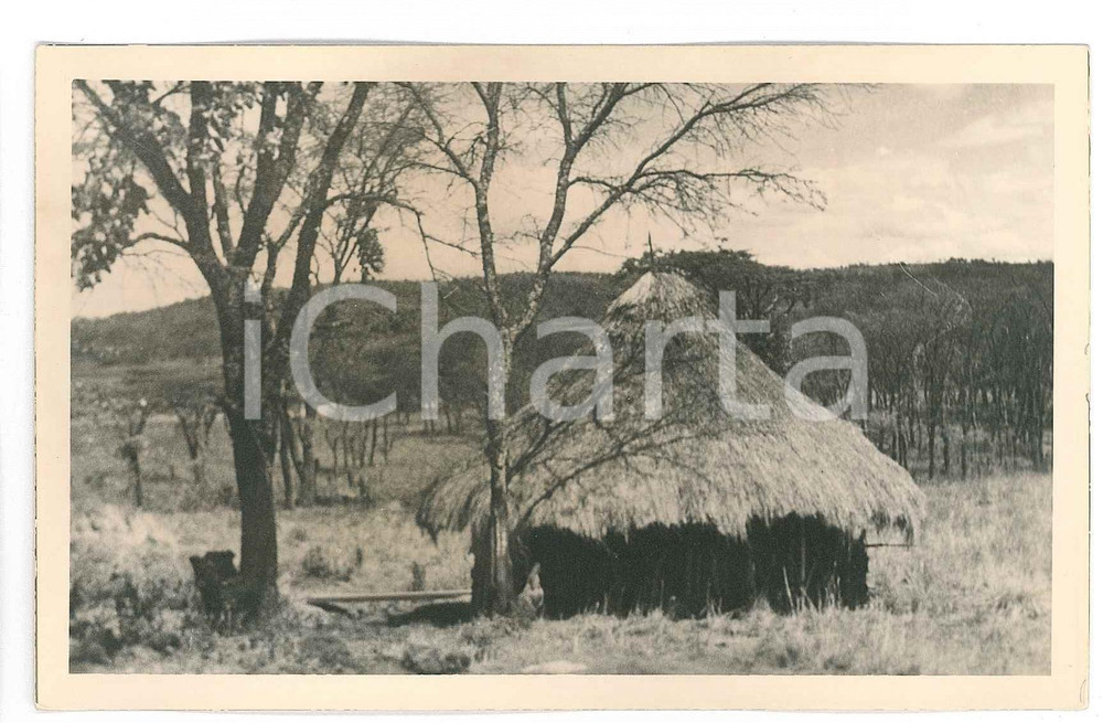 1930 C. ZAGOURSKI «L'Afrique qui disparaît» OUGANDA Case KIKOUYU *Postcard 133  Fotocartolina postale d'epoca, appartenente alla 2^ serie &laquo;L'Afrique qui dispara&icirc;t&raquo; del fotografo Casimir Zagourski (L&eacute;opoldville).N&deg;133, non viaggiata.Al verso timbro: "Henri Nicaise Photographe - Namur"CONDIZIONI: GFORMATO: 14x9 cm     originale e autentica 1