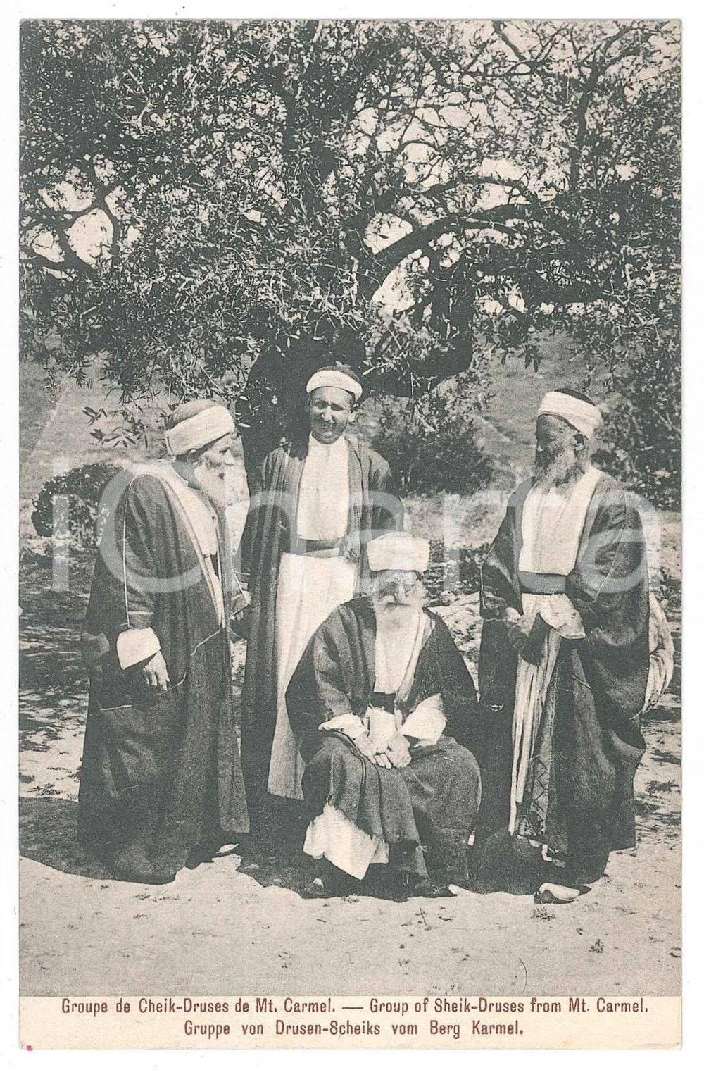 1900 ca ISRAEL - MOUNT CARMEL Group of Sheik - Druses - Postcard FP NV  Cartolina postale d'epoca, non viaggiata.CONDIZIONI: GOODFORMATO: FP    originale e autentica 1
