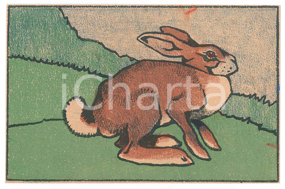 1910 ca ANIMALS Rabbit in the field ILLUSTRATED Postcard FP NV  Cartolina d'epoca, illustrata, non viaggiata.CONDIZIONI: FAIR (piccole macchie al margine superiore e destro)FORMATO: FP    originale e autentica 1