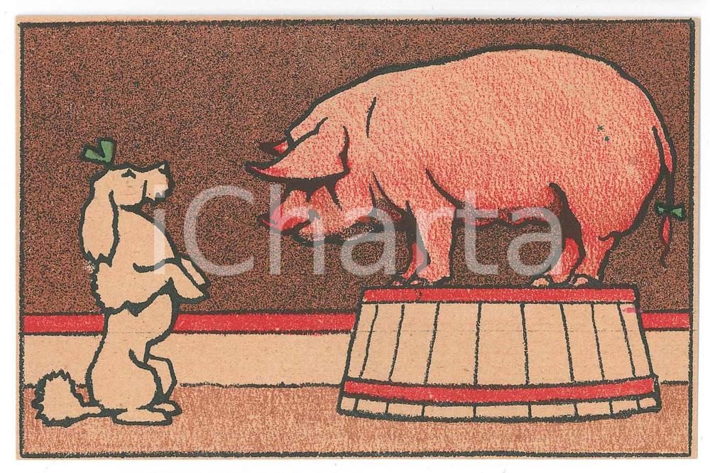 1910 ca CIRCUS Trained poodle and pig ILLUSTRATED Postcard FP NV  Cartolina d'epoca, illustrata, non viaggiata.CONDIZIONI: GOODFORMATO: FP    originale e autentica 1