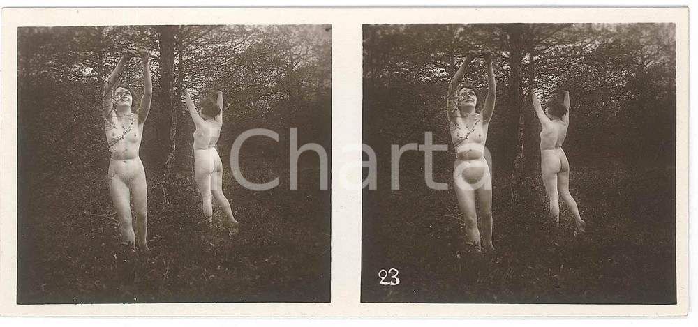 1920 ca VINTAGE EROTIC Le nu stéréo en plein air - Nude women near a tree (4) Fotografia stereoscopica d'epoca, appartenente alla collana "Le nu st&eacute;r&eacute;o en plein air".EDITORE: Editions St&eacute;reo Novelti Accademia - Paris  GOOD/buono  Formato: 13x6 cm originale e autentica 1