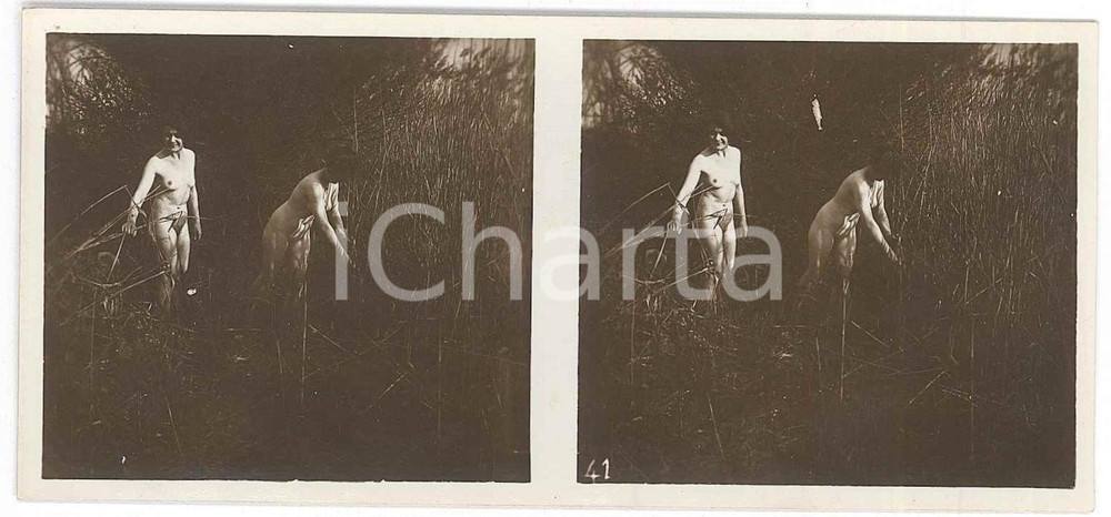 1920 ca VINTAGE EROTIC Le nu stéréo en plein air - Women in a cane field (2) Fotografia stereoscopica d'epoca, appartenente alla collana "Le nu st&eacute;r&eacute;o en plein air".EDITORE: Editions St&eacute;reo Novelti Accademia - Paris  GOOD/buono  Formato: 13x6 cm originale e autentica 1