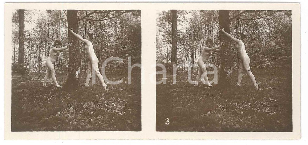 1920 ca VINTAGE EROTIC Le nu stéréo en plein air - Nude women near a tree *Photo Fotografia stereoscopica d'epoca, appartenente alla collana "Le nu st&eacute;r&eacute;o en plein air".EDITORE: Editions St&eacute;reo Novelti Accademia - Paris  GOOD/buono  Formato: 13x6 cm originale e autentica 1