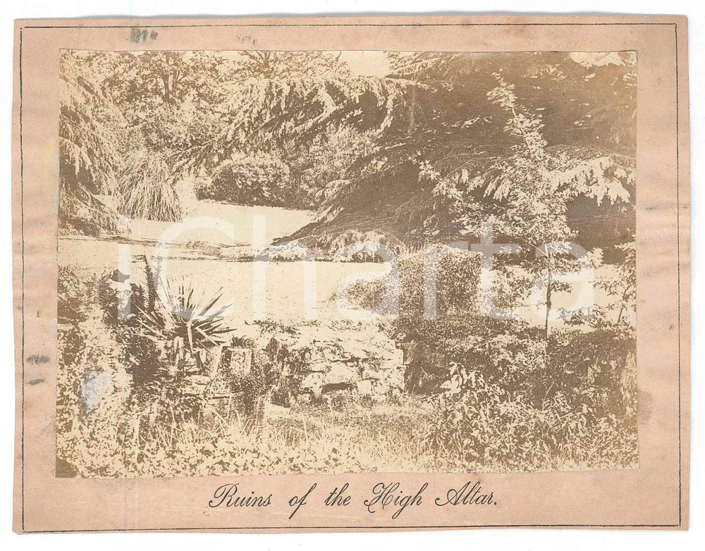 1890 ca BATTLE ABBEY (SUSSEX, UK) Ruins of the High Altar - Photo 13x10 cm Fotografia d'epoca, montata su carta, con didascalia a stampa al lato inferiore. GOOD/buono lievi increspature Formato: 13x10 cm originale e autentica 1