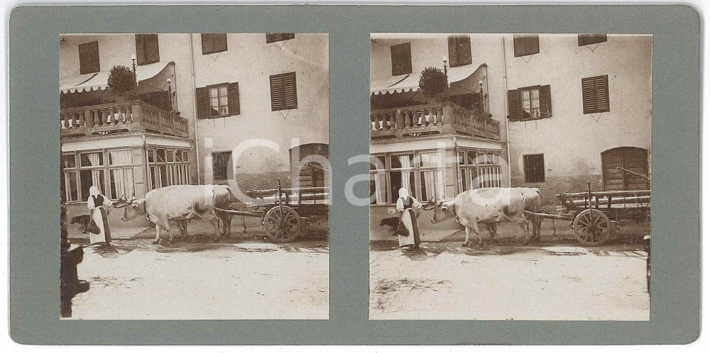 1910 ca LANA (SUDTIROL - ITALIA) Donna con bue e carretto - Foto stereoscopica  Fotografia stereoscopica d'epoca, su cartoncino rigido.  GOOD/buono  Formato: 18x9 cm originale e autentica 1