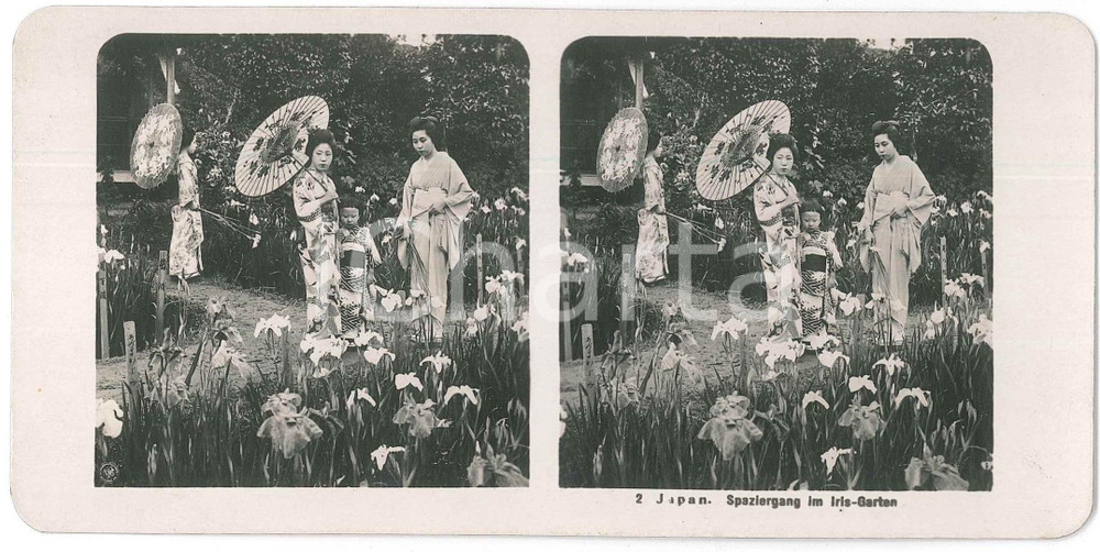 1910 ca JAPAN - Geishas - Spaziergang im Iris-Garten - ETHNIC Stereoview n° 2  Fotografia stereoscopica d'epoca.EDITORE: NPG  GOOD/buono  Formato: 18x9 cm originale e autentica 1