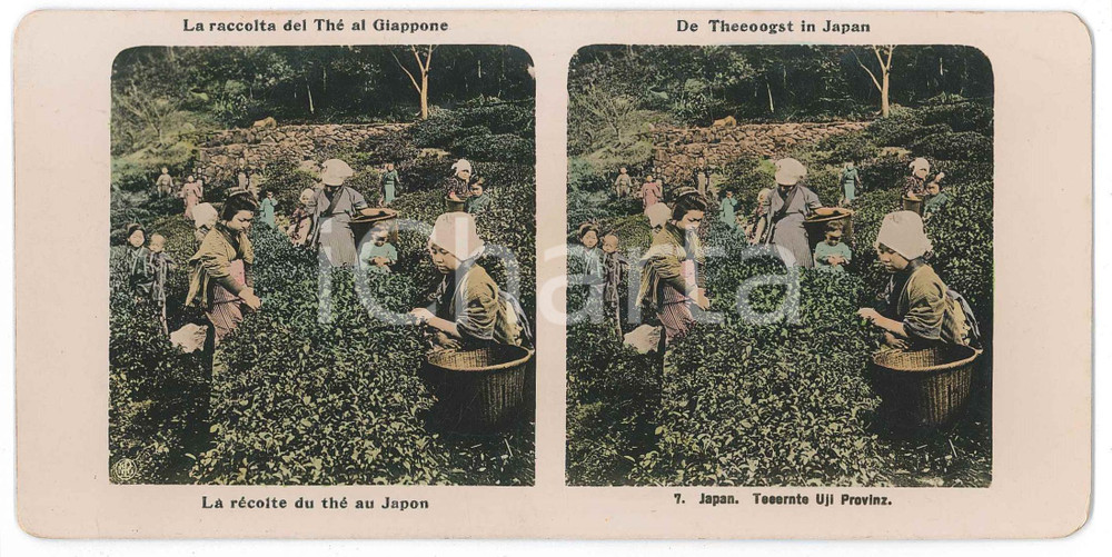 1910 ca JAPAN - Teernte Uji Provinz - ETHNIC Stereoview 7  Fotografia stereoscopica d'epoca, con colorazione.EDITORE: NPG  GOOD/buono  Formato: 18x9 cm originale e autentica 1