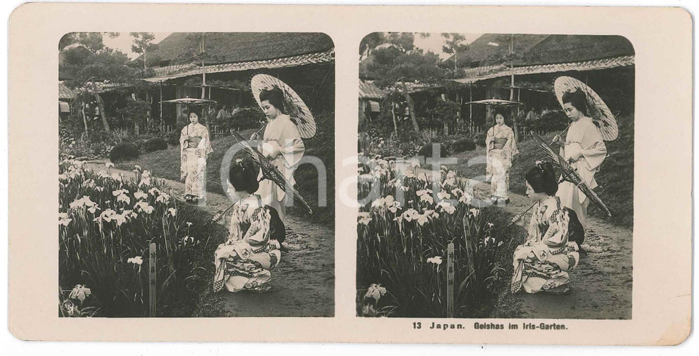 1910 ca JAPAN - Geishas im Iris-Garten - ETHNIC Stereoview n° 30  Fotografia stereoscopica d'epoca.EDITORE: NPG  GOOD/buono  Formato: 18x9 cm originale e autentica 1