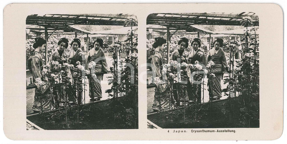 1910 ca JAPAN - Geishas - Crysanthemum-Ausstellung - ETHNIC Stereoview nÂ° 4  Fotografia stereoscopica d'epoca.EDITORE: NPG  GOOD/buono  Formato: 18x9 cm originale e autentica 1