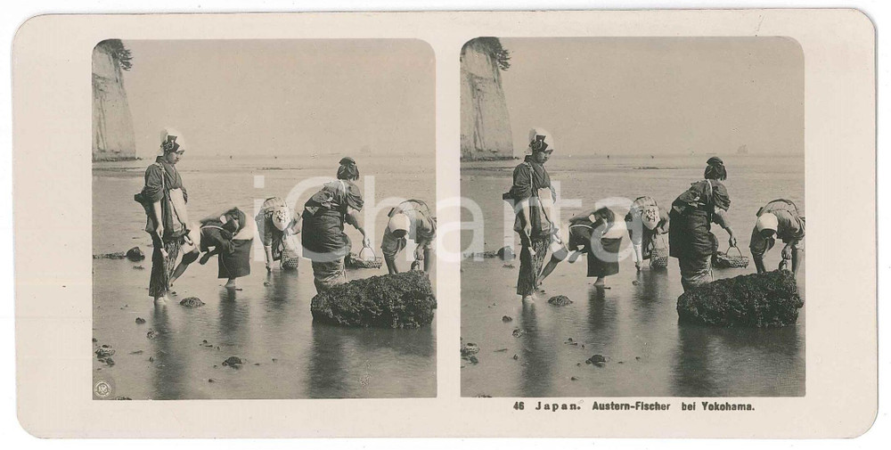 1910 ca JAPAN - Austern-Fischer bei Yokohama - ETHNIC Stereoview n° 46  Fotografia stereoscopica d'epoca.EDITORE: NPG  GOOD/buono  Formato: 18x9 cm originale e autentica 1