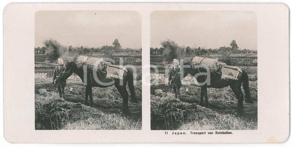 1910 ca JAPAN - Transport von Reisballen - ETHNIC Stereoview n° 11  Fotografia stereoscopica d'epoca.EDITORE: NPG  GOOD/buono  Formato: 18x9 cm originale e autentica 1