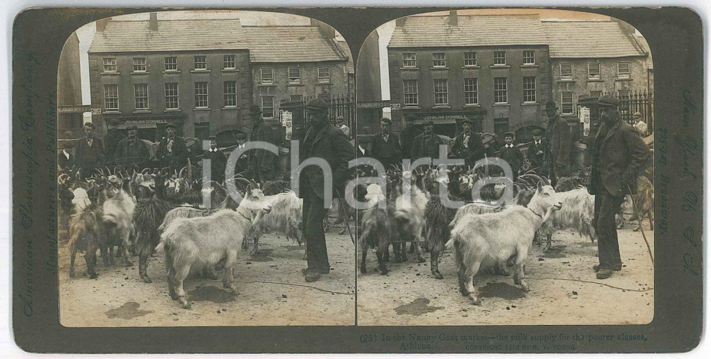 1903 ATHLONE (IRELAND) Nanny Goat market - Milk for poorer classes *Stereoview Fotografia stereoscopica d'epoca, su cartoncino rigido, n&deg; 25.EDITORE: American Stereoscopic Company  FAIR/discreto lievi danni da umidità al lato superiore Formato: 18x9 cm originale e autentica 1