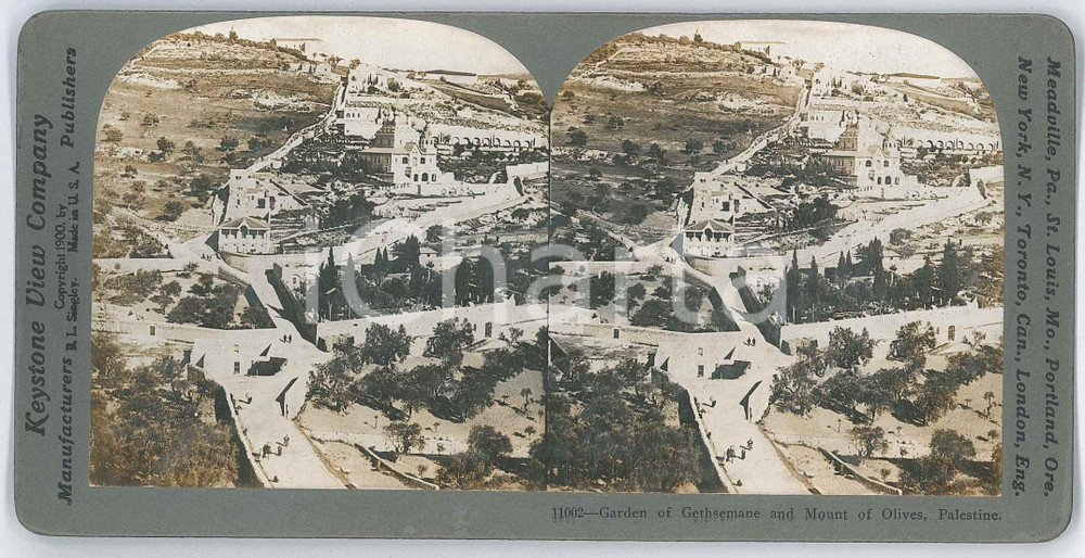 1910 ca JERUSALEM Garden of Gethsemane and Mount of Olives *Stereoview KEYSTONE Fotografia stereoscopica d'epoca, su cartoncino rigido.EDITORE: Meadville, Pa.  - Keystone View Company  GOOD/buono  Formato: 18x9 cm originale e autentica 1
