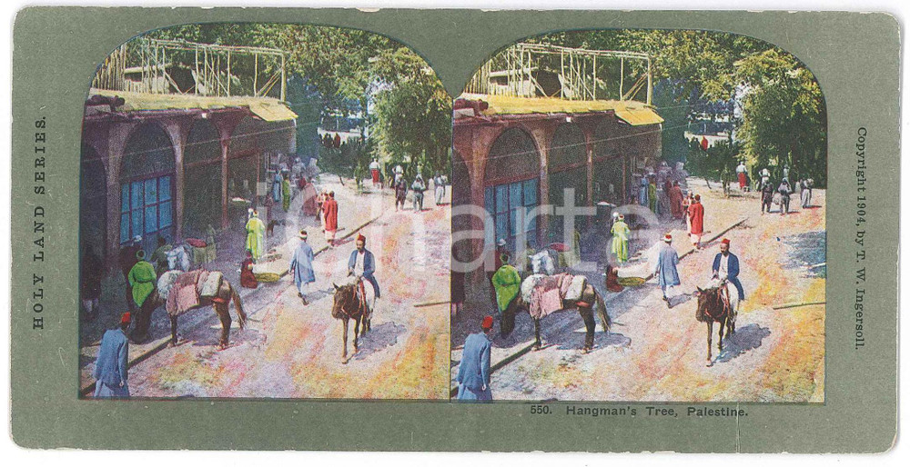 1904 PALESTINE Hagman's Tree - Stereoview HOLY LAND Series n° 550 Fotografia stereoscopica d'epoca, su cartoncino morbido.EDITORE:  T. W. Ingersoll  GOOD/buono  Formato: 18x9 cm originale e autentica 1