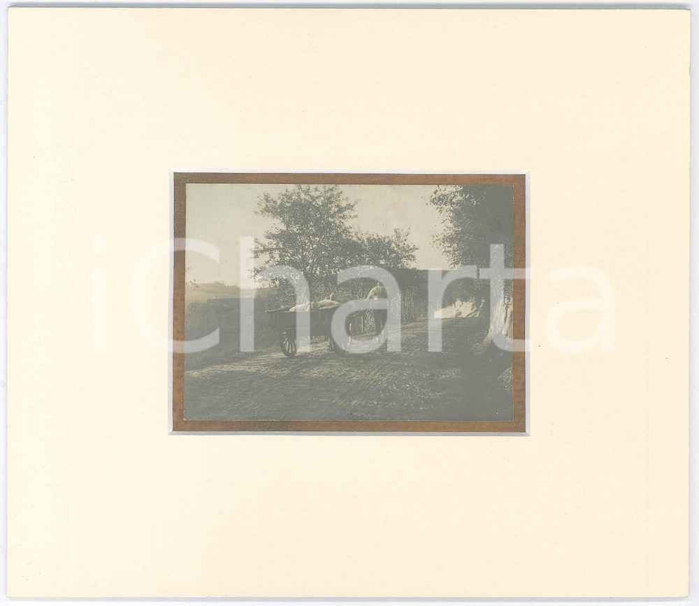 1910 ca NORD ITALIA - COSTUME - Contadino con carretto *Foto con passepartout Fotografia d'epoca, incollata su cartoncino e incorniciata con passepartout in cartoncino pesante. GOOD/buono  Formato: 22x19 cm (cartoncino); 10,5x7,5 cm (fotografia) originale e autentica 1