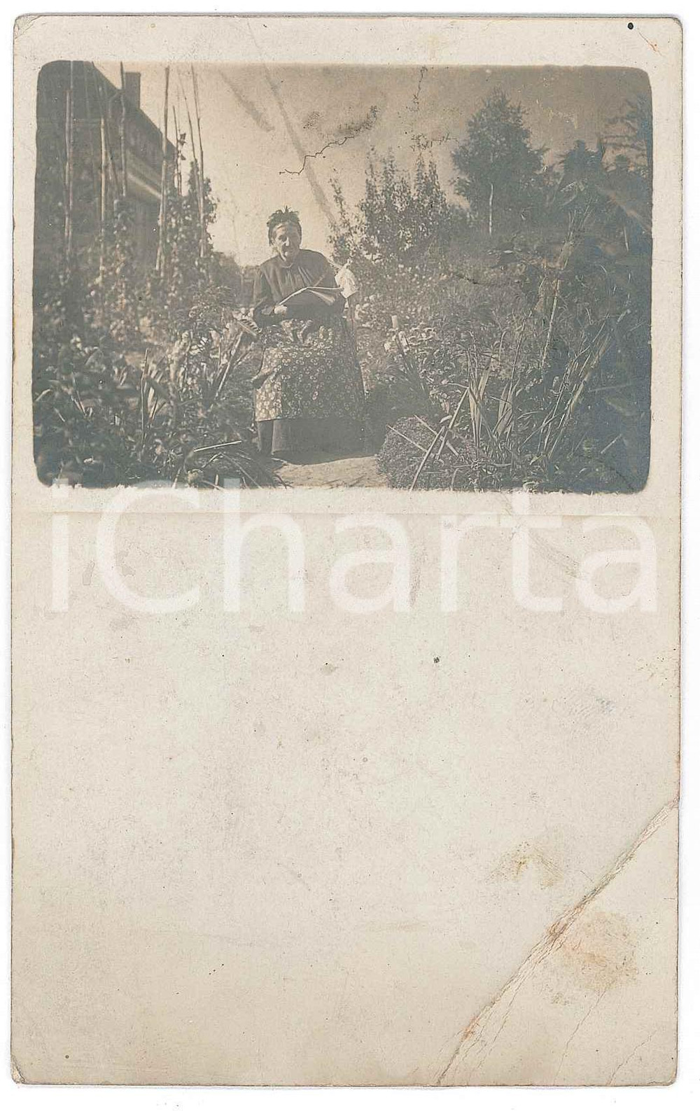 1900 ca BRUXELLES - Campagne - Mme Félicie dans son jardin *Photo 9x14 cm  Fotografia d'epoca, in formato cartolina postale, viaggiata. POOR/danneggiato evidente piegatura angolare Formato: 9x14 cm originale e autentica 1
