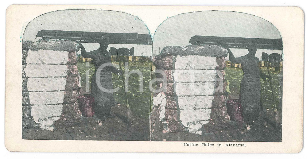 1900 ca ALABAMA - AFRICAN AMERICANS - Cotton Bales - Stereoview Fotografia stereoscopica d'epoca, in cromolitografia, su cartoncino.  GOOD/buono ma tracce a matita al verso Formato: 18x9 cm originale e autentica 1