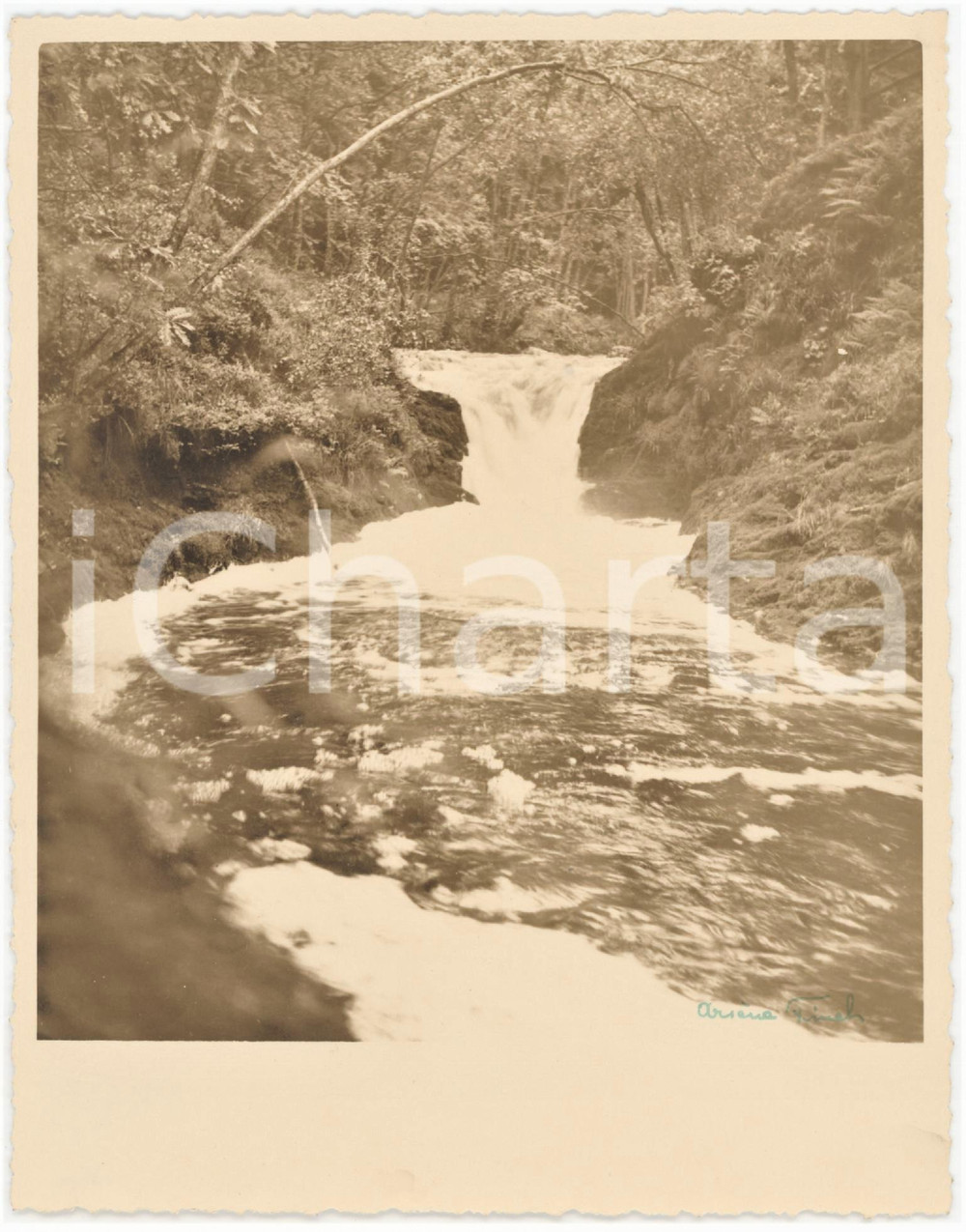 1950 ca BELGIQUE - Une cascade de la HOEGNE - Photo Arsène FINCK 13x16 cm  Fotografia originale d'epoca, con firma al recto.Didascalia manoscritta al verso. FOTOGRAFO: Ars&egrave;ne Finck - Ensival, Belgique GOOD/buono  Formato: 13x16 cm originale e autentica 1
