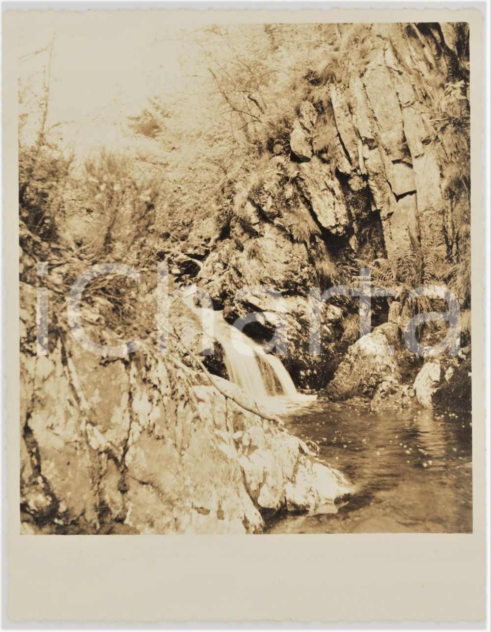 1950 ca BELGIQUE Paysage d'un bois - Coin calme *Photo Arsène FINCK 13x16 cm  Fotografia originale d'epoca, con firma al recto.Didascalia manoscritta al verso: " Un coin calme au Beujehan (?)" FOTOGRAFO: Ars&egrave;ne Finck - Ensival, Belgique GOOD/buono  Formato: 13x16 cm originale e autentica 1