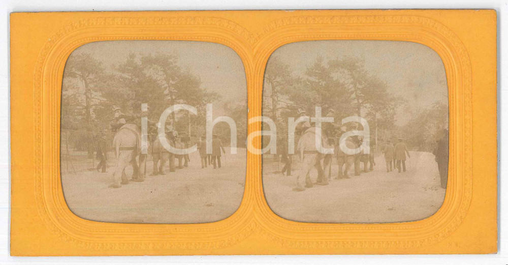 1890 ca INDIA - COSTUME - Europei trasportati su elefanti (2) Foto stereoscopica Fotografia stereoscopica d'epoca, su cartoncino rigido. GOOD/buono  Formato: 18x9 cm originale e autentica 1