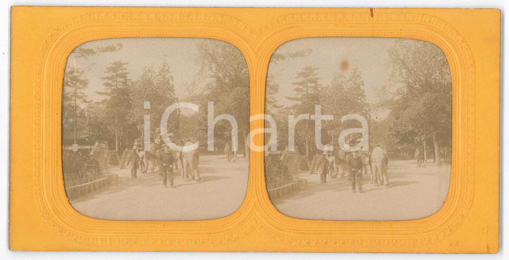 1890 ca INDIA - COSTUME - Europei trasportati su elefanti - Foto stereoscopica Fotografia stereoscopica d'epoca, su cartoncino rigido. GOOD/buono piccola macchia Formato: 18x9 cm originale e autentica 1