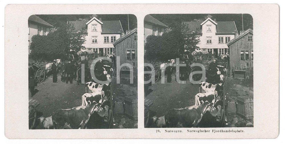 1906 NORWAY Norwegischer Fjordhandelsplatz *Stereoview STEGLITZ-BERLIN 78 Fotografia stereoscopica d'epoca.EDITORE: Steglitz-Berlin   GOOD/buono  Formato: 18x9 cm originale e autentica 1