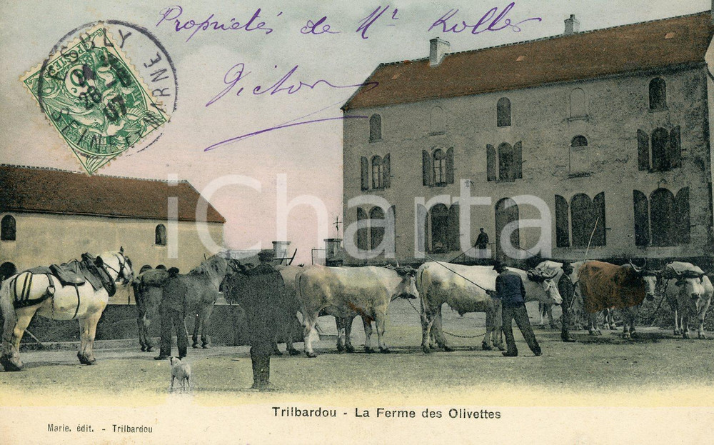 1907 TRILBARDOU (FRANCE) La ferme des olivettes - Carte postale FP VG  Cartolina postale d'epoca, viaggiata.CONDIZIONI: FAIR FORMATO: FP    originale e autentica 1