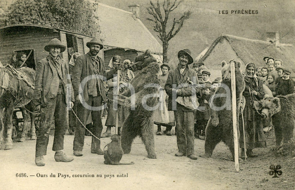 1900 ca LES PYRÉNÉES Ours du Pays - Excursion au pays natal - Carte postale FP  Cartolina postale d'epoca, non viaggiata.CONDIZIONI: FAIRFORMATO: FP    originale e autentica 1