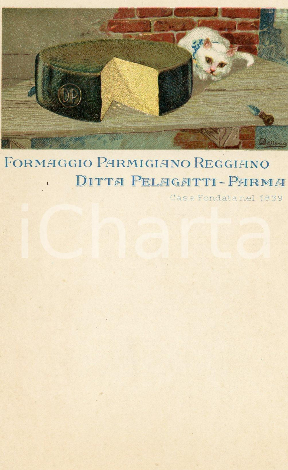 1900ca PARMA Ditta PELAGATTI Parmigiano reggiano - Cartolina ILLUSTRATA FP NV  Cartolina postale d'epoca, non viaggiata.CONDIZIONI: FFORMATO: FP    originale e autentica 1