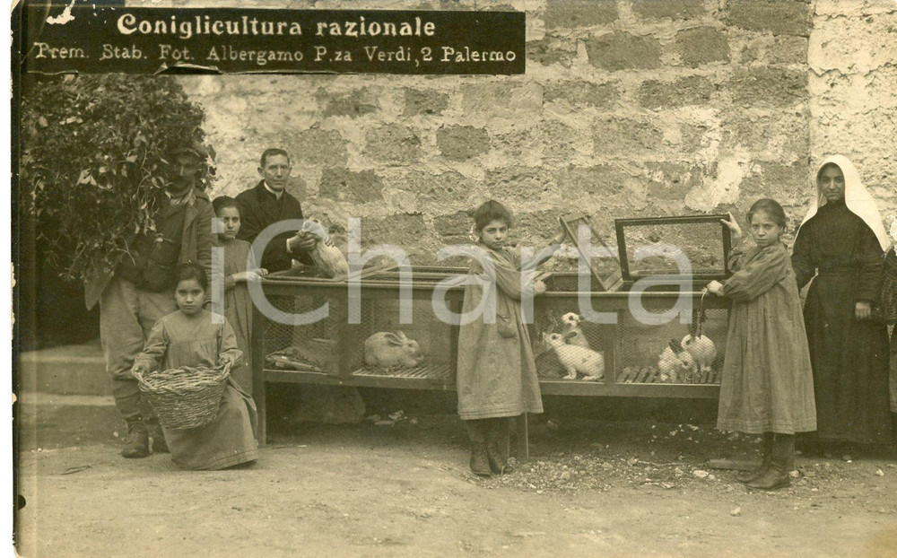 1920ca BOCCADIFALCO Colonia agricola orfane di guerra - Coniglicultura CARTOLINA  Cartolina postale d'epoca, non viaggiata.Fotografo: Premiato Stabilimento Fotografico Albergamo - PalermoCONDIZIONI: FFORMATO: FP    originale e autentica 1