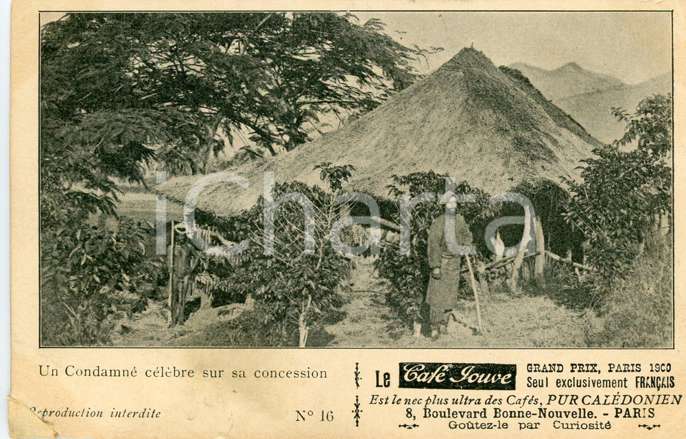 Cartolina originale da collezione 1910ca GUYANE FRANCAISE un condamnÃ© cÃ©lÃ¨bre sur sa concession  Vintage Postcard 1