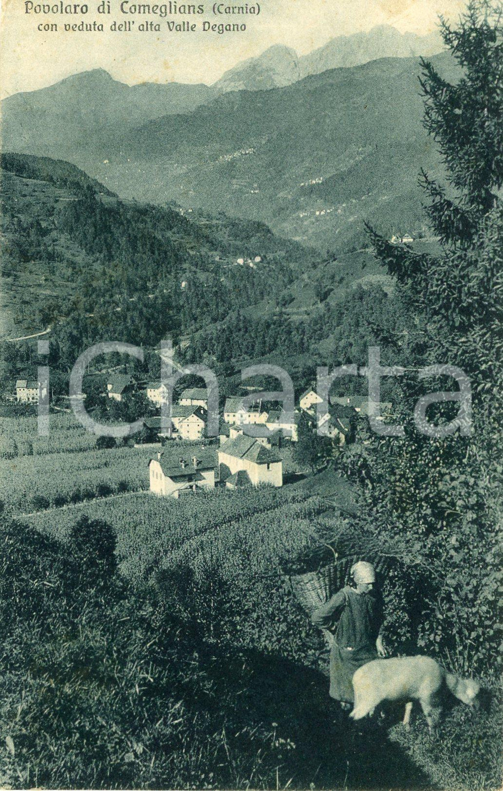 1932 COMEGLIANS Frazione POVOLARO Veduta dell'ALTA VAL DEGANO - Cartolina FP VG  Cartolina postale d'epoca, viaggiata.CONDIZIONI: FAIRFORMATO: FP    originale e autentica 1