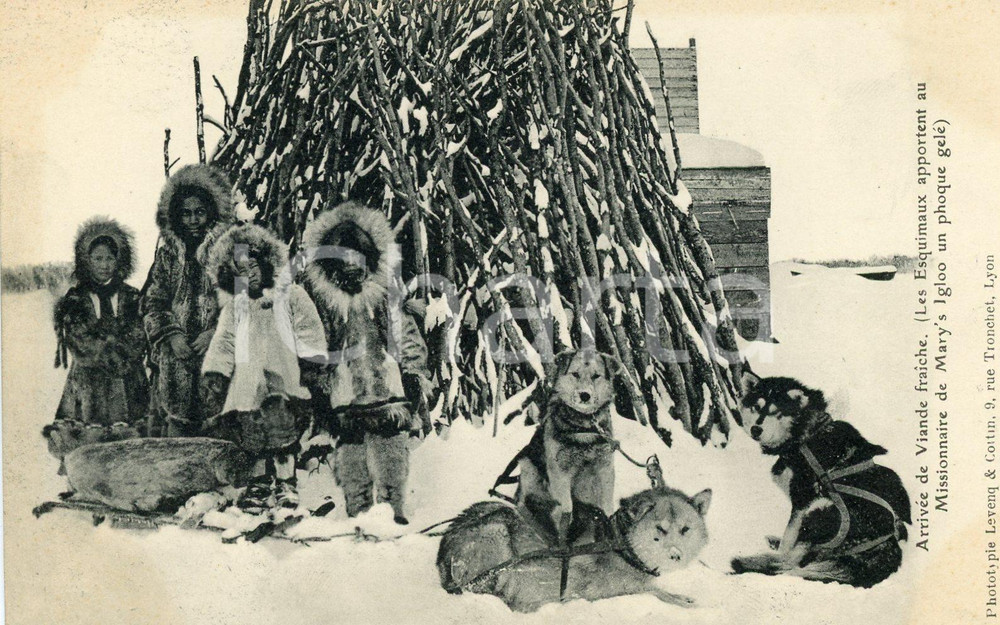 Cartolina originale da collezione 1920 ca ALASKA Esquimax apportent au Missionnaire de MARY S IGLOO un phoque gelÃ© 1