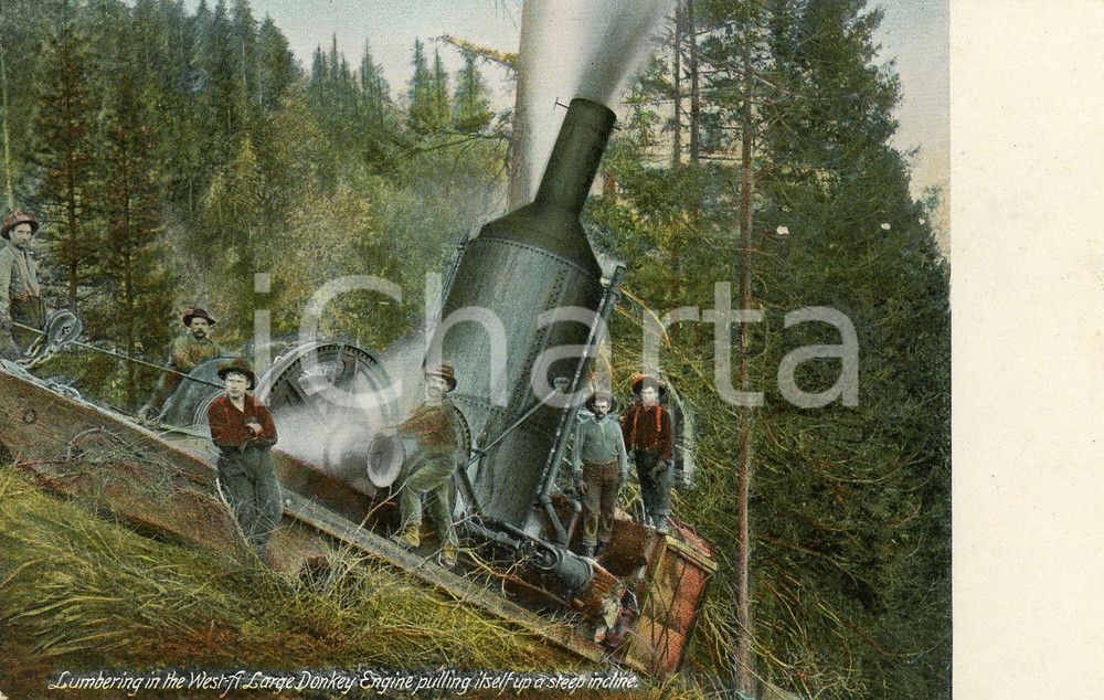 1910 ca WESTERN UNITED STATES Lumbering - Large donkey engine - Postcard FP NV  Cartolina postale d'epoca, non viaggiata.CONDIZIONI: FFORMATO: FP    originale e autentica 1