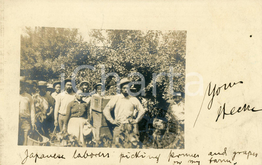 1904 NEW ORLEANS Japanese laborers at farm - Real photo postcard RPPC  Fotografia d'epoca in formato cartolina postale d'epoca, viaggiata.CONDIZIONI: FFORMATO: 14x8 cm    originale e autentica 1