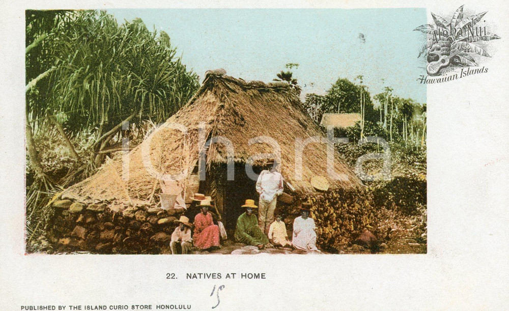 1900 ca HAWAII Natives at home - Postcard FP NV  Cartolina postale d'epoca, non viaggiata.CONDIZIONI: FFORMATO: FP    originale e autentica 1