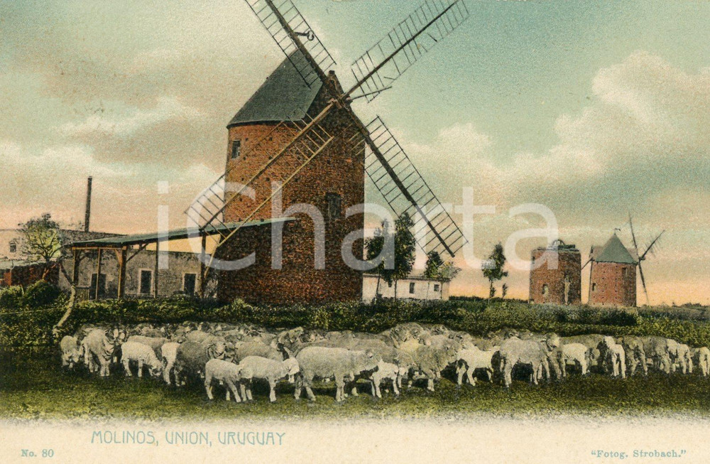 1910 ca MONTEVIDEO - UNION (URUGUAY) Molinos - Tarjeta postal  Cartolina postale d'epoca, non viaggiata.CONDIZIONI: FFORMATO: FP    originale e autentica 1