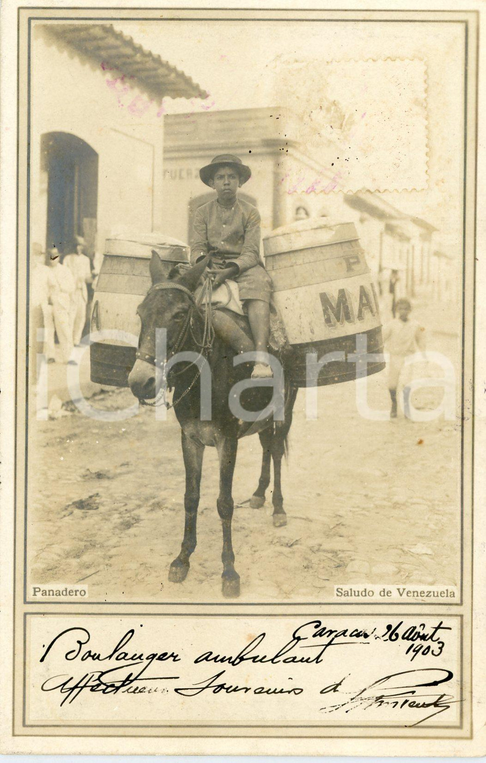 1903 VENEZUELA Panadero sobre un burro - Tarjeta postal  Cartolina postale d'epoca, viaggiata.CONDIZIONI: FFORMATO: FP    originale e autentica 1