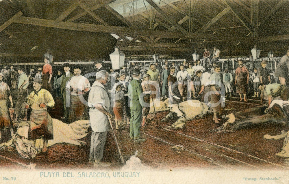 1911 URUGUAY Playa del Saladero - Vintage postcard FP VG  Cartolina postale d'epoca, viaggiata.CONDIZIONI: G FORMATO: FP    originale e autentica 1