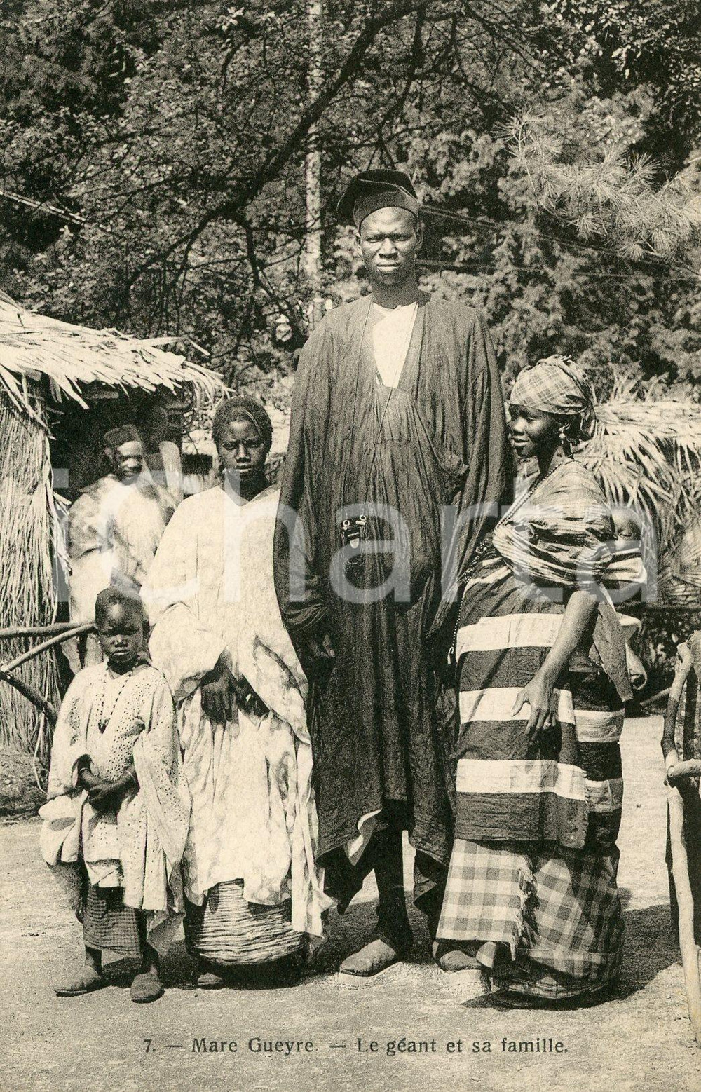 1910ca SURINAME - MARE GUEYRE Le Géant et sa familie - Vintage postcard FP NV  Cartolina postale d'epoca, non viaggiata.CONDIZIONI: GFORMATO: FP    originale e autentica 1