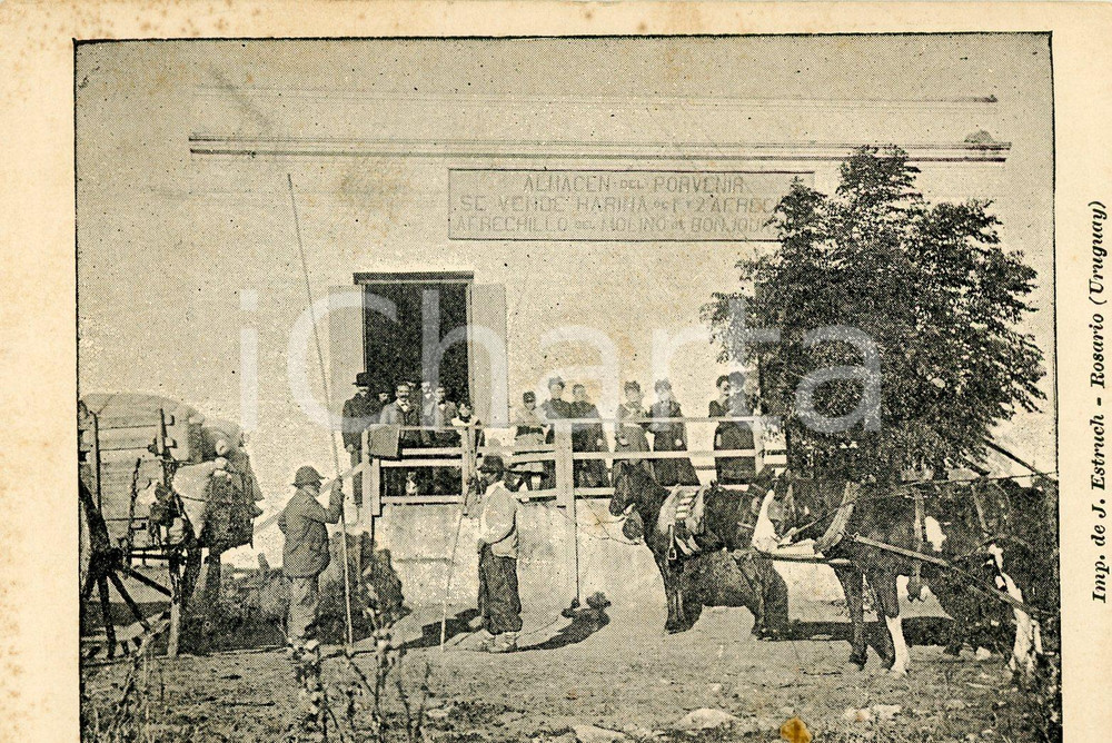 1900 ca ROSARIO (URUGUAY) Alrededores - Cartolina postale vintage ANIMATA NV  Cartolina postale d'epoca, non viaggiata.CONDIZIONI: FAIR (fioriture marginali)FORMATO: 13x10 cm    originale e autentica 1
