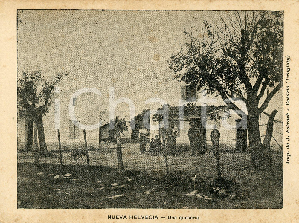 1900 ca NUEVA HELVECIA (URUGUAY) Una queseria - Cartolina ANIMATA NV  Cartolina postale d'epoca, non viaggiata.CONDIZIONI: FAIR (fioriture marginali)FORMATO: 13x10 cm    originale e autentica 1