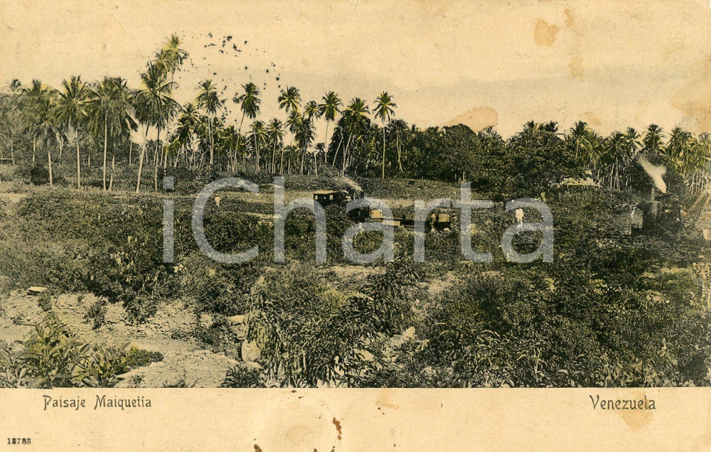 1905 MAIQUETIA (VENEZUELA) Veduta panoramica - Cartolina postale DANNEGGIATA  Cartolina postale d'epoca, viaggiata.CONDIZIONI: POOR (macchie al recto; abrasioni e residui cartacei al verso)FORMATO: FP    originale e autentica 1