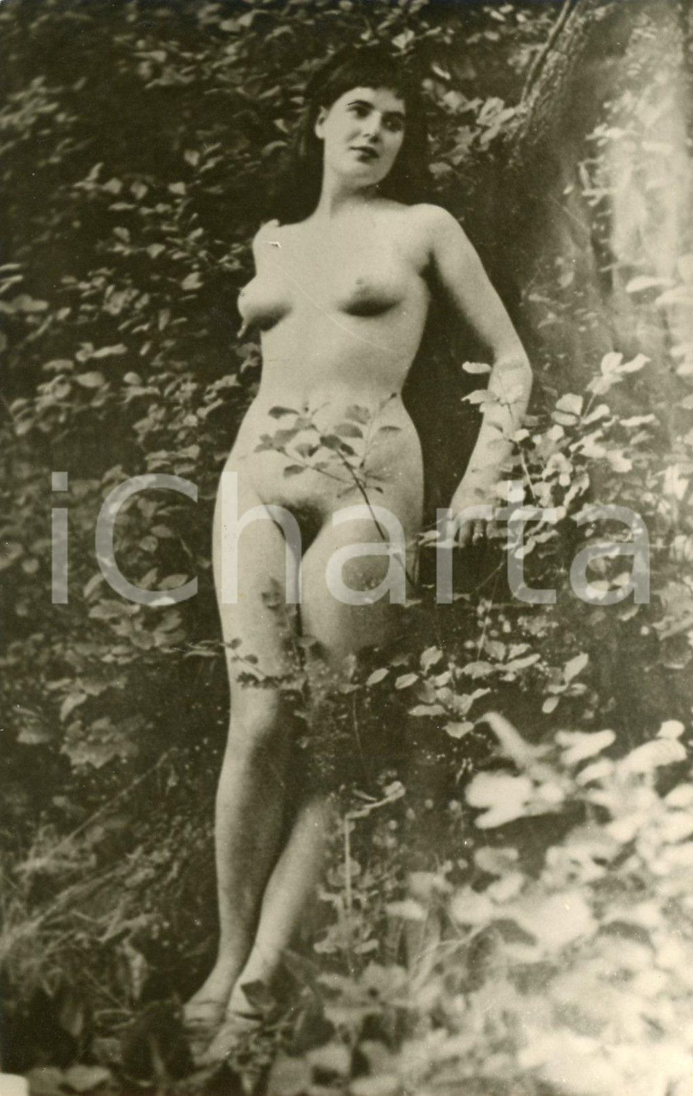 1930 ca EROTICA VINTAGE Donna nuda posa in un bosco - Fotocartolina seriale  Fotografia seriale d'epoca, in formato cartolina.CONDIZIONI: G (minimi difetti di stampa)FORMATO: FP    originale e autentica 1