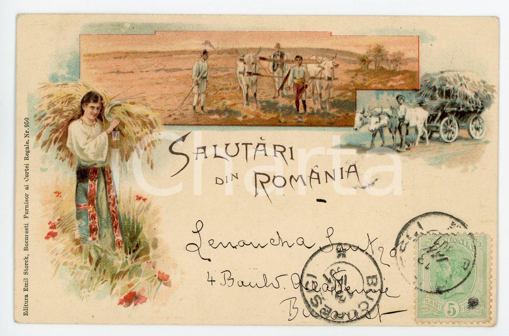 1901 COSTUMES Salutări din ROMÂNIA - Folk countryside - Ox cart - Postcard Cartolina postale d'epoca, viaggiata.CONDIZIONI: G (minima piegatura all'angolo inferiore destro )FORMATO: FP    originale e autentica 1