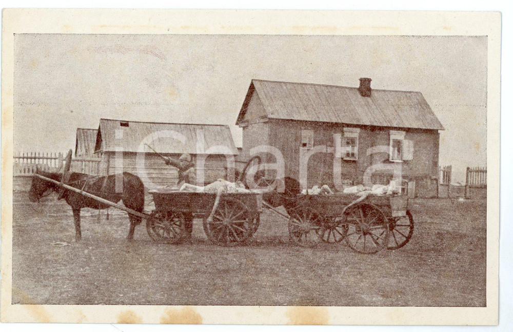 1920 CARESTIA IN RUSSIA Comité de Secours Ouvrier Bruxelles 2 VINTAGE POSTCARD CONDIZIONI: GFORMATO: FP    originale e autentica 1