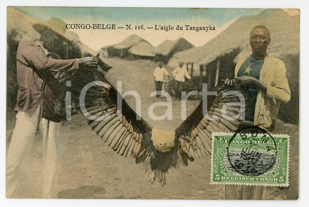 1911 CONGO BELGE L'aigle du Tanganyka - Vintage Postcard FP VG  Cartolina postale d'epoca, viaggiata.CONDIZIONI: FAIRFORMATO: FP    originale e autentica 1