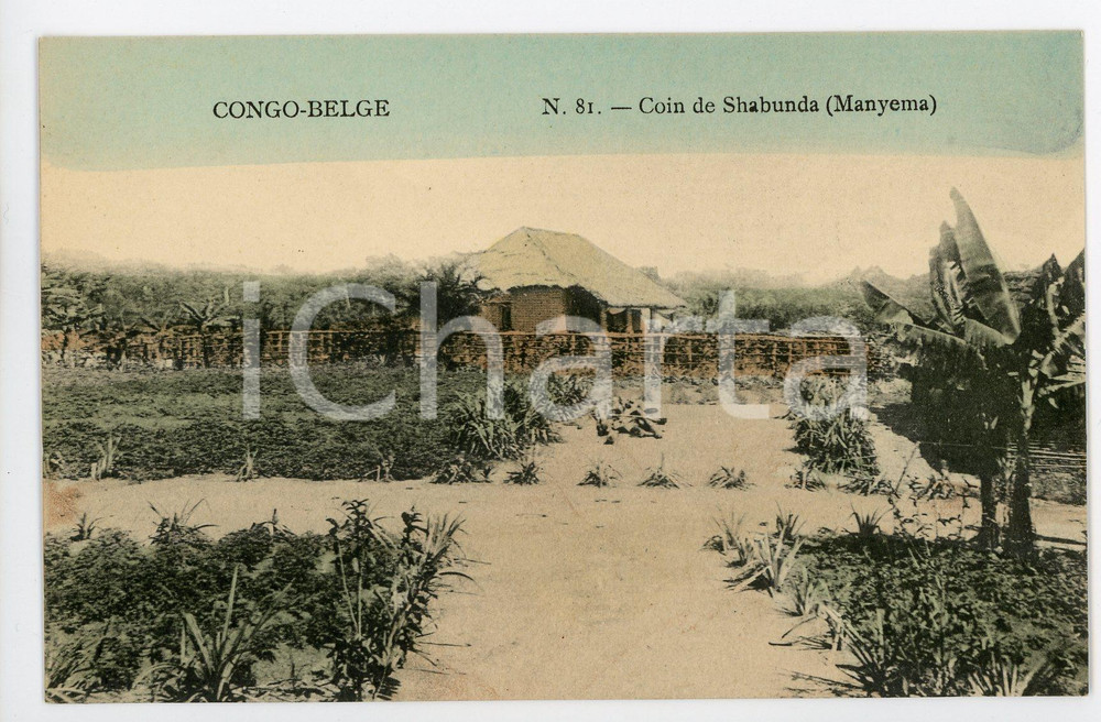 1910 ca CONGO BELGE - MANYEMA Coin de SHABUNDA - Vintage Postcard FP  Cartolina postale d'epoca, non viaggiata.CONDIZIONI: FAIRFORMATO: FP    originale e autentica 1